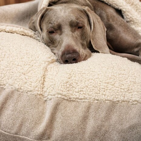 Nachtergaele Nachtergaele WEAVE Hondenmand met Kap Beige