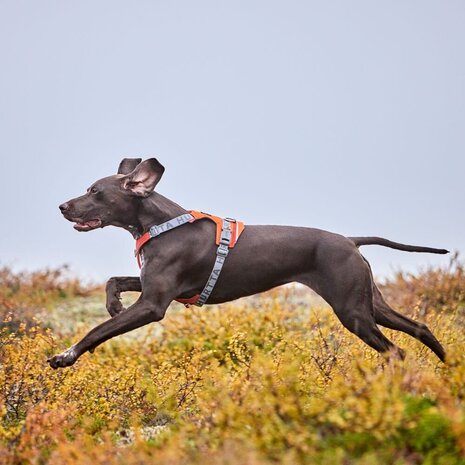 Hurtta Hurtta Harnas Rover Cinnamon Oranje Hurtta Hurtta Harnas Rover Cinnamon Oranje