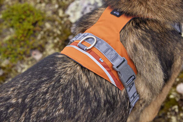 Hurtta Hurtta Harnas Rover Cinnamon Oranje Hurtta Hurtta Harnas Rover Cinnamon Oranje