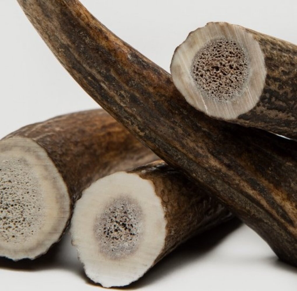 Chewies Chewies Edelhertengewei Heel Chewies Chewies Edelhertengewei Heel