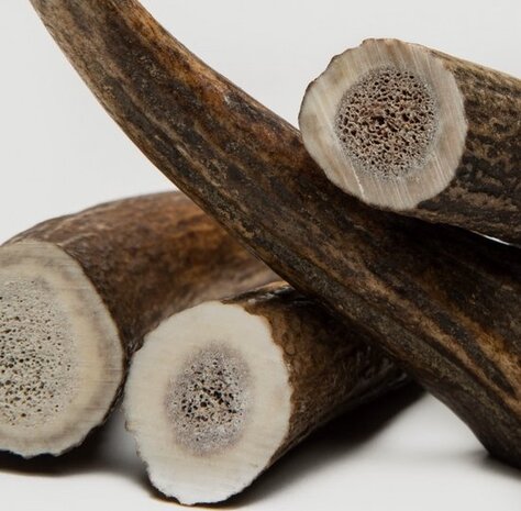 Chewies Chewies Edelhertengewei Heel Chewies Chewies Edelhertengewei Heel