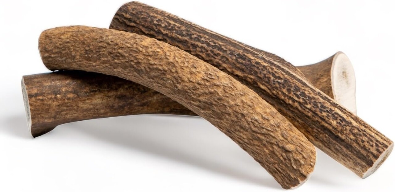 Chewies Chewies Edelhertengewei Heel Chewies Chewies Edelhertengewei Heel