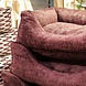 Nachtergaele Nachtergaele NOBLE Hondenmand Ortho Donker Bordeaux