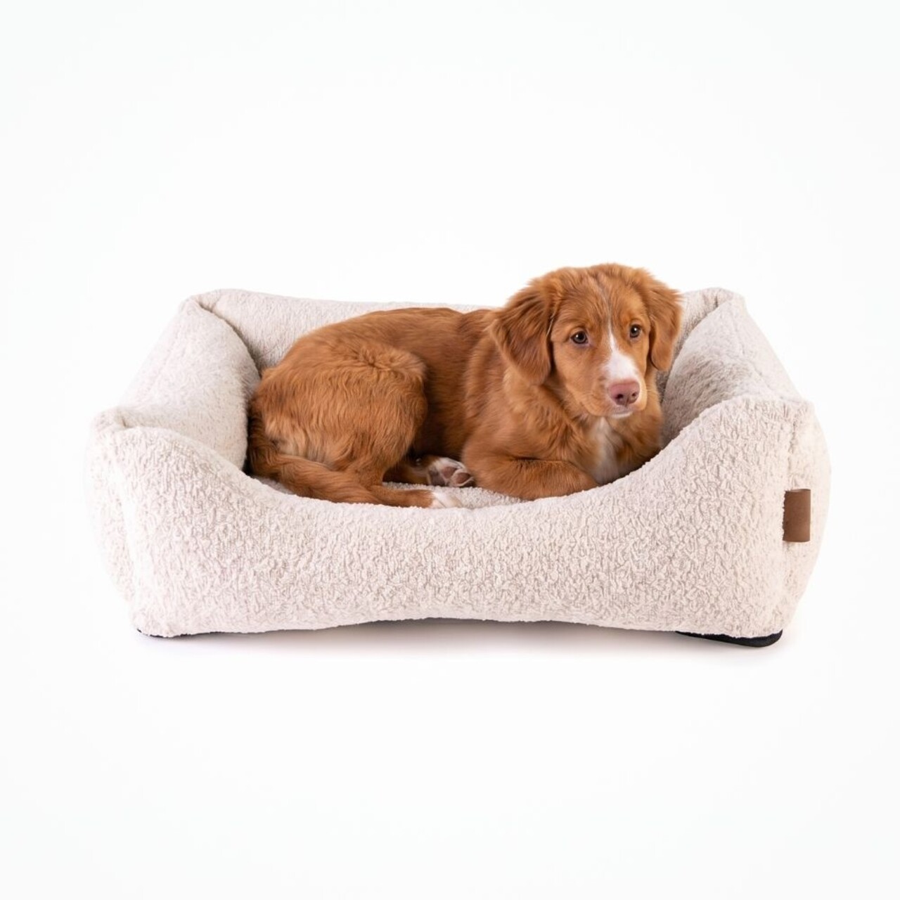 Nachtergaele Nachtergaele CLOUDS Mand Orthopedisch Sand Beige