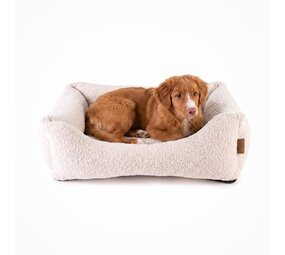 Nachtergaele Nachtergaele CLOUDS Mand Orthopedisch Sand Beige