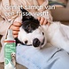 Béaphar Beaphar Natte Hond Spray Probiotica