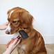 Japandi Japandi Slickerborstel Bruin