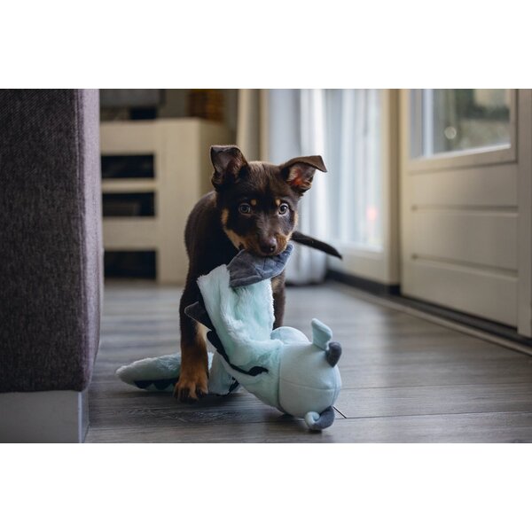 Beeztees Beeztees Puppy Knuffel Flatino Draak