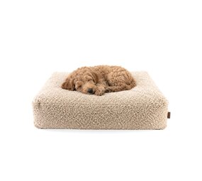 Nachtergaele Nachtergaele TEDDY Hondenkussen Ortho Beige