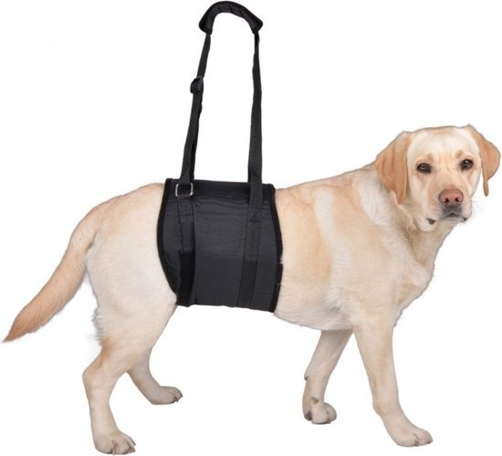 einem Hund günstig Kaufen-Hundetrage XL - für Hunde mit einem Gewicht von 35 - 45 kg. Hundetrage XL - für Hunde mit einem Gewicht von 35 - 45 kg <![CDATA[Die Vetlando-Tragehilfe ist ein ideales Hilfsmittel, um Ihren Hund zu stützen, z.B. nach einer größeren Operation,