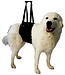 Hundetrage XL - für Hunde mit einem Gewicht von 35 - 45 kg