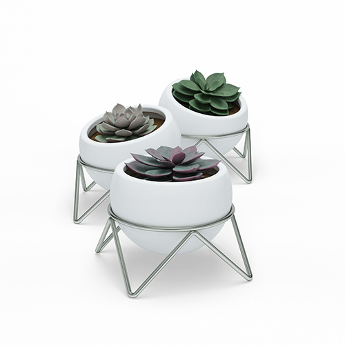 Planter Plant günstig Kaufen-Umbra Potsy Pflanzenhalter - 14x14x12cm - 3 Stück - Keramik Weiß/Nickel. Umbra Potsy Pflanzenhalter - 14x14x12cm - 3 Stück - Keramik Weiß/Nickel <![CDATA[Merkmale: * UNIQUE DESKTOP PLANTER Designed by Sung Wook Park POTSY ist ein einfa