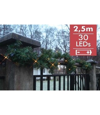 STAR TRADING Tannengirlande mit LED s, für draußen, 2,5m, warmweiße LED s