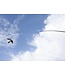 Vogelabwehr - Drache mit 9 m Stock