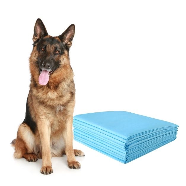 Leak Proof günstig Kaufen-Coast Training Matte für Hunde Leakproof 5-Layer Design Puppy Pad Hygienic Disposable PIPI Pads (150 Stück). Coast Training Matte für Hunde Leakproof 5-Layer Design Puppy Pad Hygienic Disposable PIPI Pads (150 Stück) <![CDATA[Unsere Ei