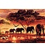 Rubye® Diamantmalerei Erwachsene - Diamantmalerei Kinder - Elefantenfamilie - 30x40cm