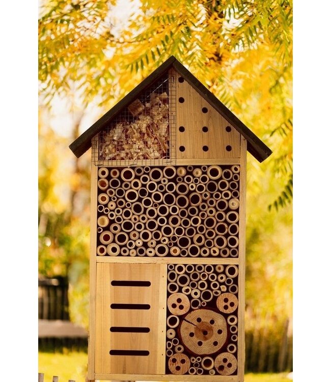 BWare Garten Insektenhotel Holz online kaufen bei