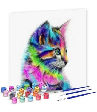 Rubye® Rubye® Malen nach Zahlen Erwachsene - Bunte Katze - Inklusive Farbe und Pinsel - Leinwand Malerei Leinwand - Farbe nach Zahlen - 40x50cm