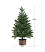 Coast 60 cm hoher künstlicher Tischbaum Unbeleuchteter künstlicher Weihnachtsbaum Grün