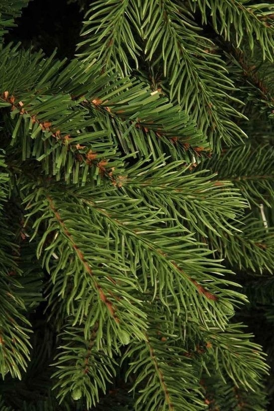 8718861334579 - Trees Brampton Künstlicher Weihnachtsbaum - H215 x Ø142 cm - Grün 8718861334579 - Trees Brampton Künstlicher Weihnachtsbaum - H215 x Ø142 cm - Grün