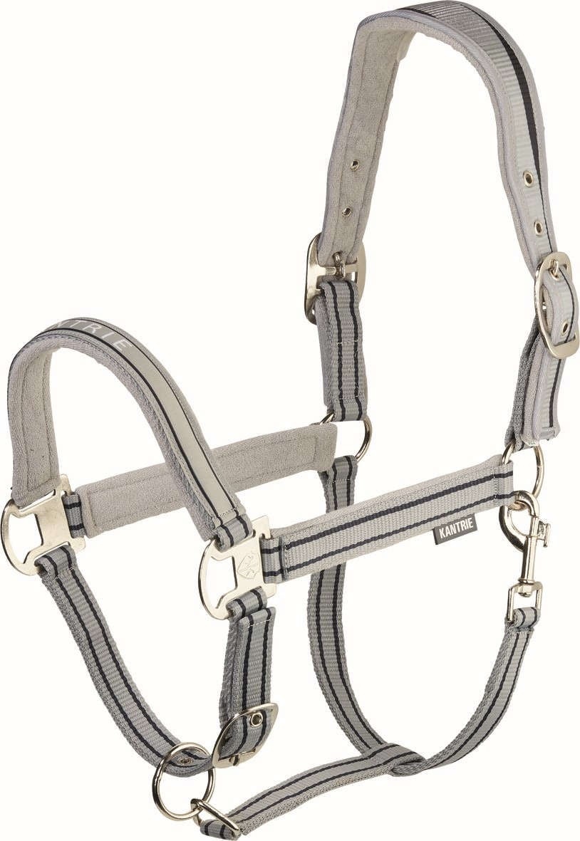 Montageplatten/Halter günstig Kaufen-KANTRIE Halter Esperia Two grau/grün. KANTRIE Halter Esperia Two grau/grün <![CDATA[Hochwertiges Halfter mit weicher Polsterung im Hals- und Nasenbereich und an den Backenstücken. Anatomisch geformtes Kopfstück für einen bequemen Sitz. Mehrfa