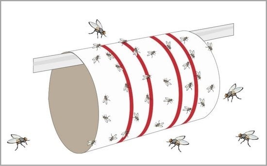 4260091920076 - Redtop Fliegenbogen 31091 Klebefolie Lockstoff Fliegenfalle (L x B) 600 mm x 345 mm Gelb 6 St 4260091920076 - Redtop Fliegenbogen 31091 Klebefolie Lockstoff Fliegenfalle (L x B) 600 mm x 345 mm Gelb 6 St