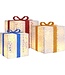 vidaXL - Weihnachtsfigur - Geschenkbox - 3 - Stück - beleuchtet - 64 - warmweiß - LEDs