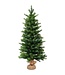 Coast 90 cm künstlicher Weihnachtsbaum mit 50 LED-Lichtern und Timerfunktion Tannenbaum Grün