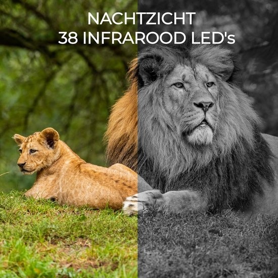 5706751072178 - Wildkamera mit Nachtsicht - inkl Datenkarte - Live-Bilder über 4G (APP) - CMOS Sensor - 30MP - Wasserdicht - WCL8040 5706751072178 - Wildkamera mit Nachtsicht - inkl Datenkarte - Live-Bilder über 4G (APP) - CMOS Sensor - 30MP - Wasserdicht - WCL8040