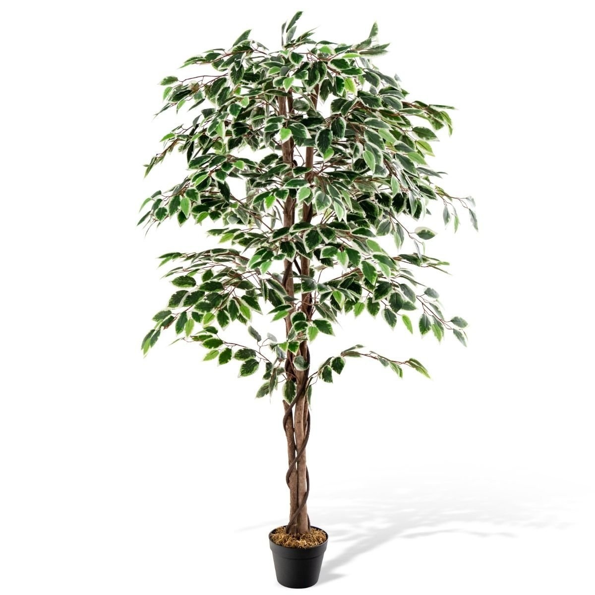 Coast Künstlicher Baum - 1008 Blätter - Wartungsfrei - 160 cm hoch - Grün