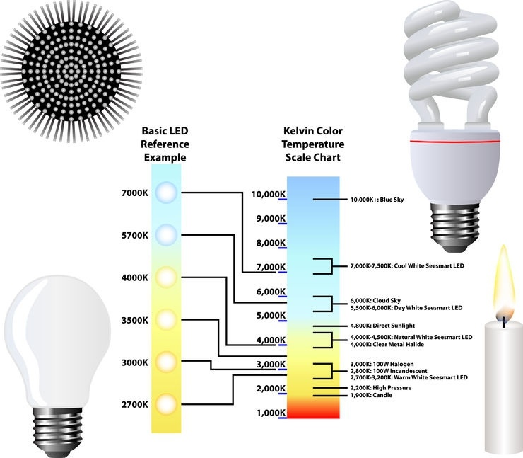 paniek Eekhoorn Poëzie LED buitenlamp | 50W=500W LED schijnwerper | daglichtwit 6400K | waterdicht  IP65