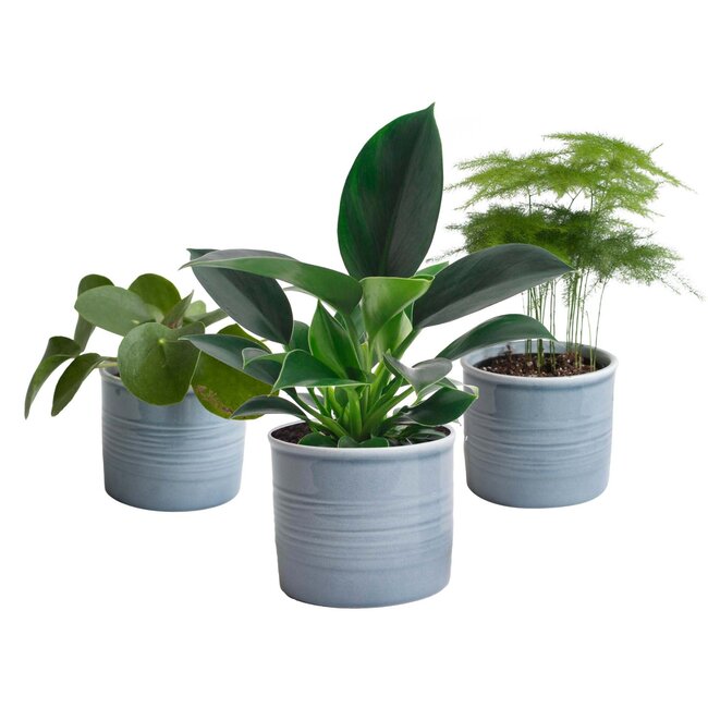 Trio ‘Klein Groen’ in Laos keramiek (blauw)