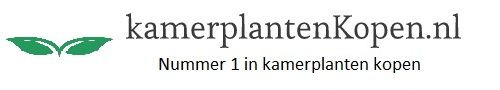  kamerplantenkopen.nl nummer 1 in kamerplanten kopen *