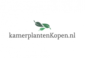  kamerplantenkopen.nl nummer 1 in kamerplanten kopen *