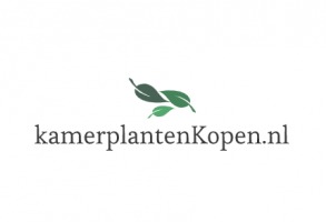 Kamerplanten Kopen