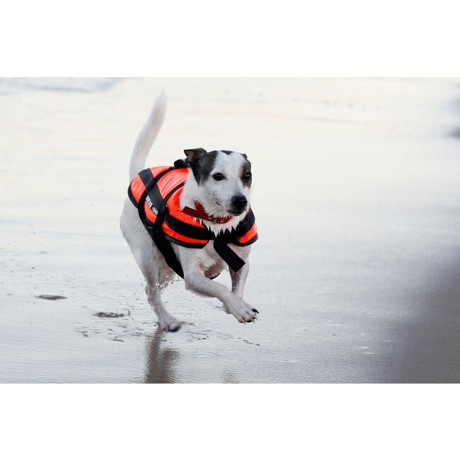 Aquarius Safe Dog-Drijfhulp