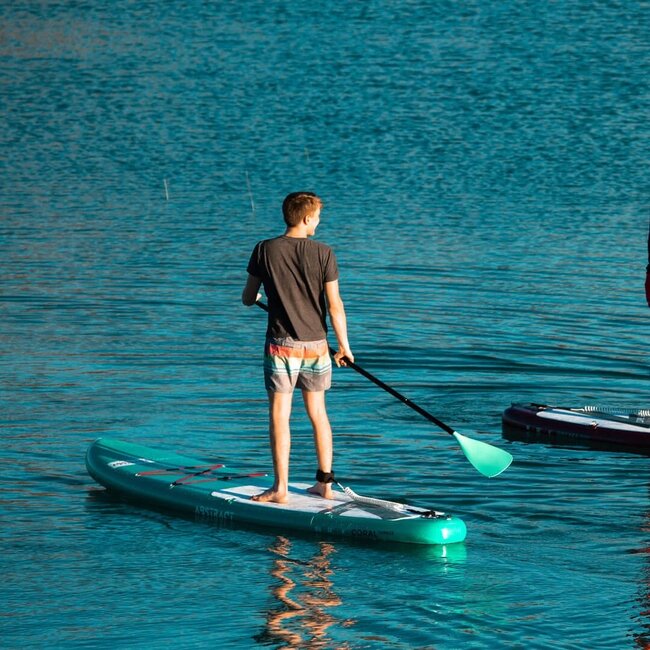 Abstract Coral Topaze 10’6-320 (15)