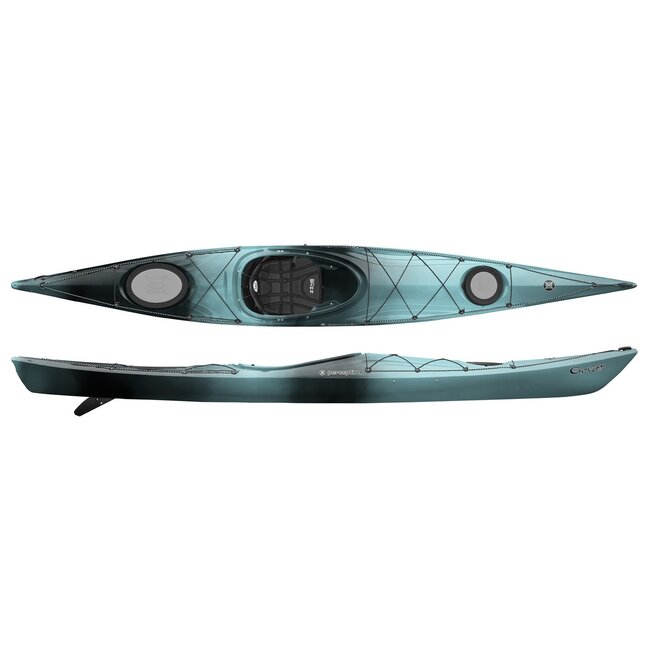 Perception Expression 15, scheg