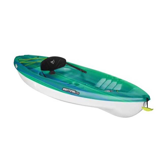 Pelican Sentinel 100, incl. rugsteun