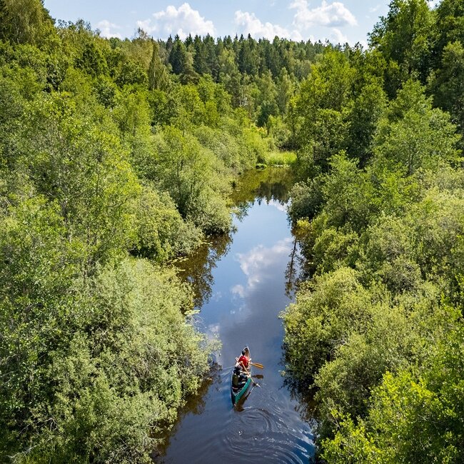 Paddling in Sörmland, Michael O'Dwyer