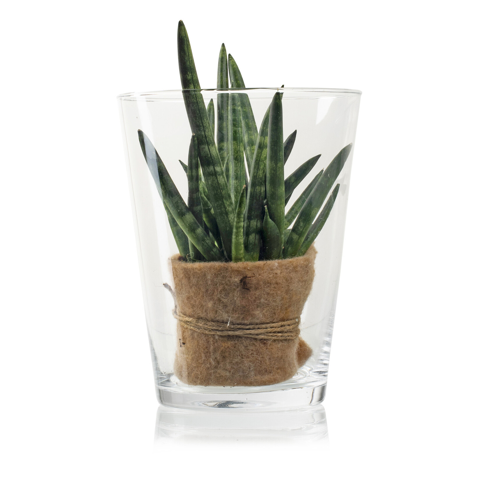 Glazen vaas 'Geva' H24 D18,5 cm Transparant