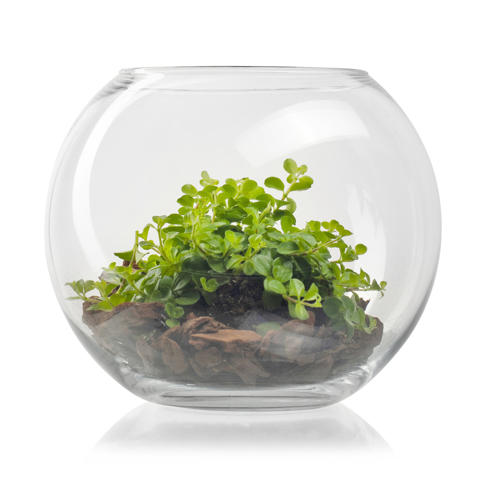 Ronde vaas 'Ryan' H22 D26 cm Transparant