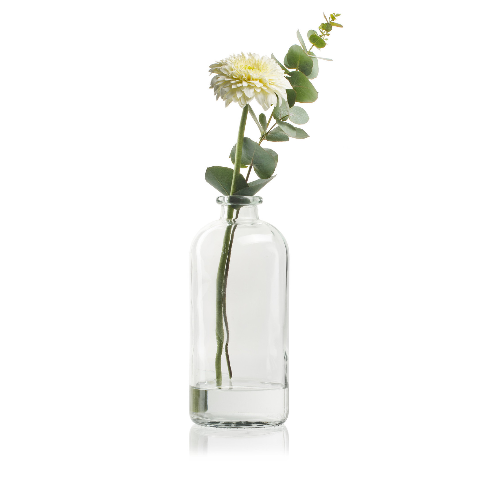 Flesvaas 'Fiona' H25 D11 cm Transparant