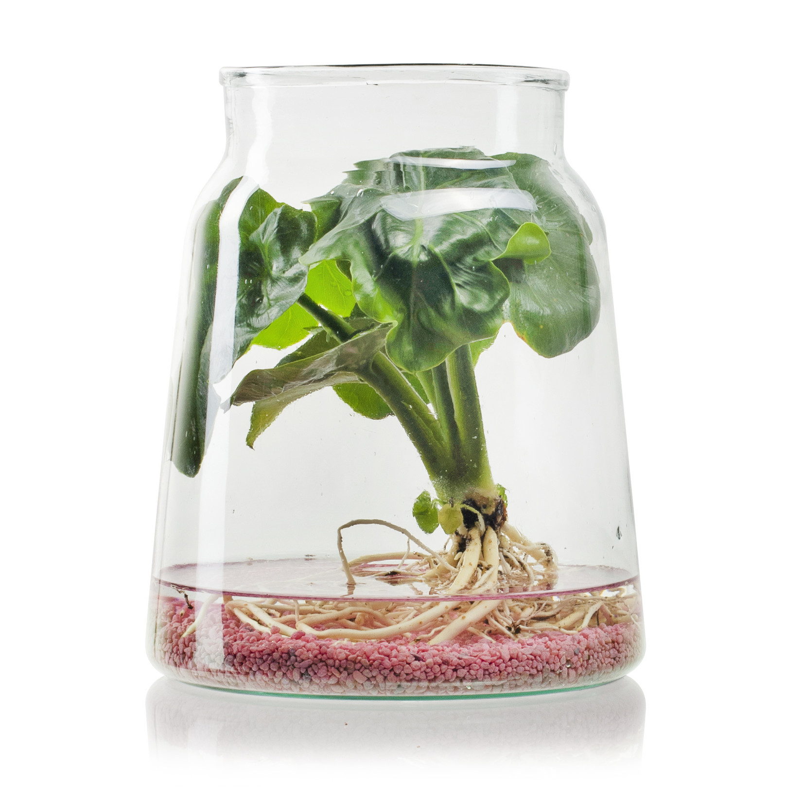 Eco vaas 'Emilian' H22 D21/17 cm Transparant