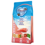 renske Renske droog hond adult graanvrij verse zalm 12kg