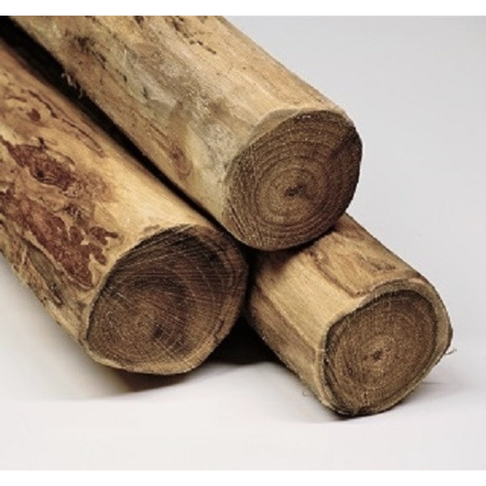 tuindeco Robinia paal 10/12 dikte 300cm lengte