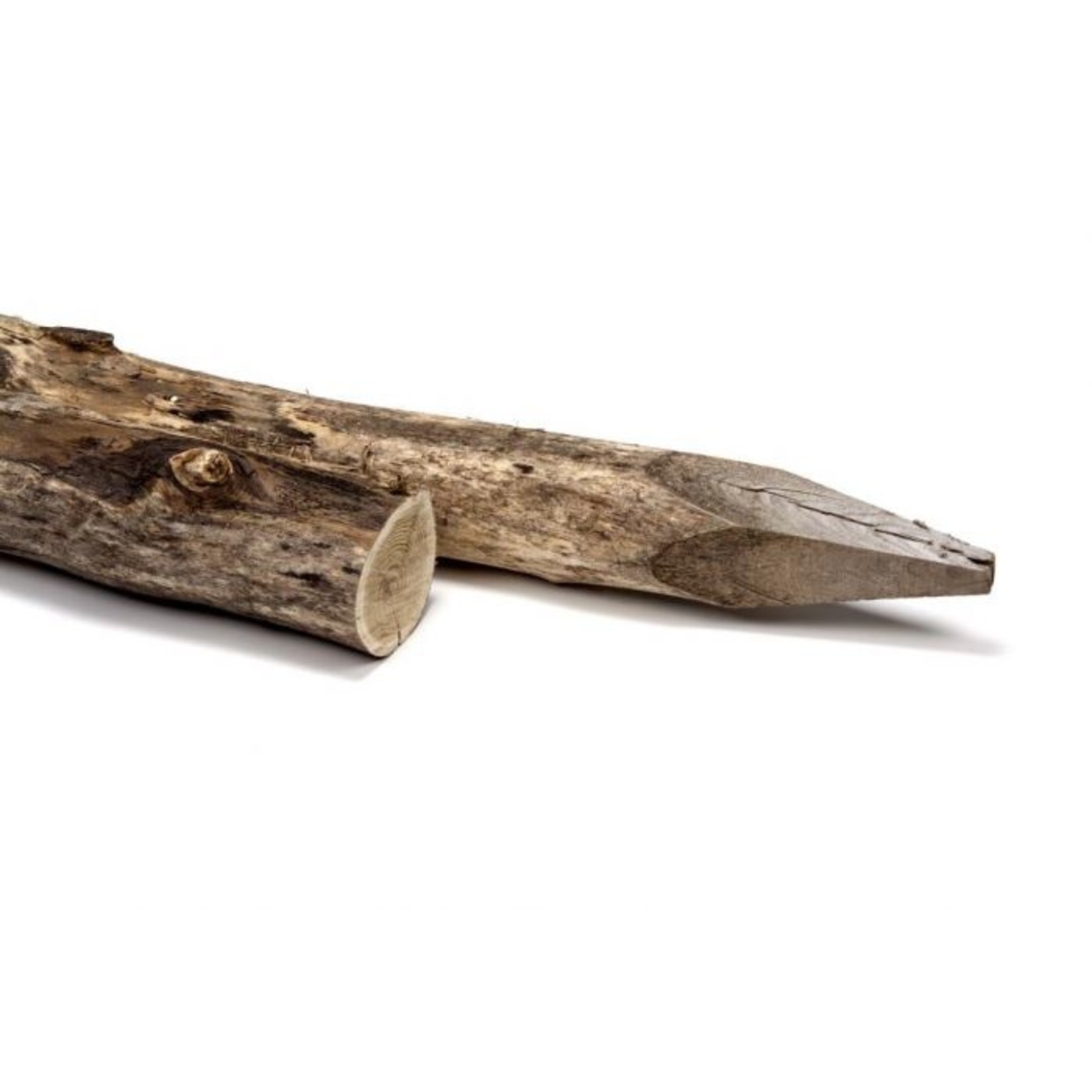 tuindeco Robinia paal 10/12 dikte 300cm lengte