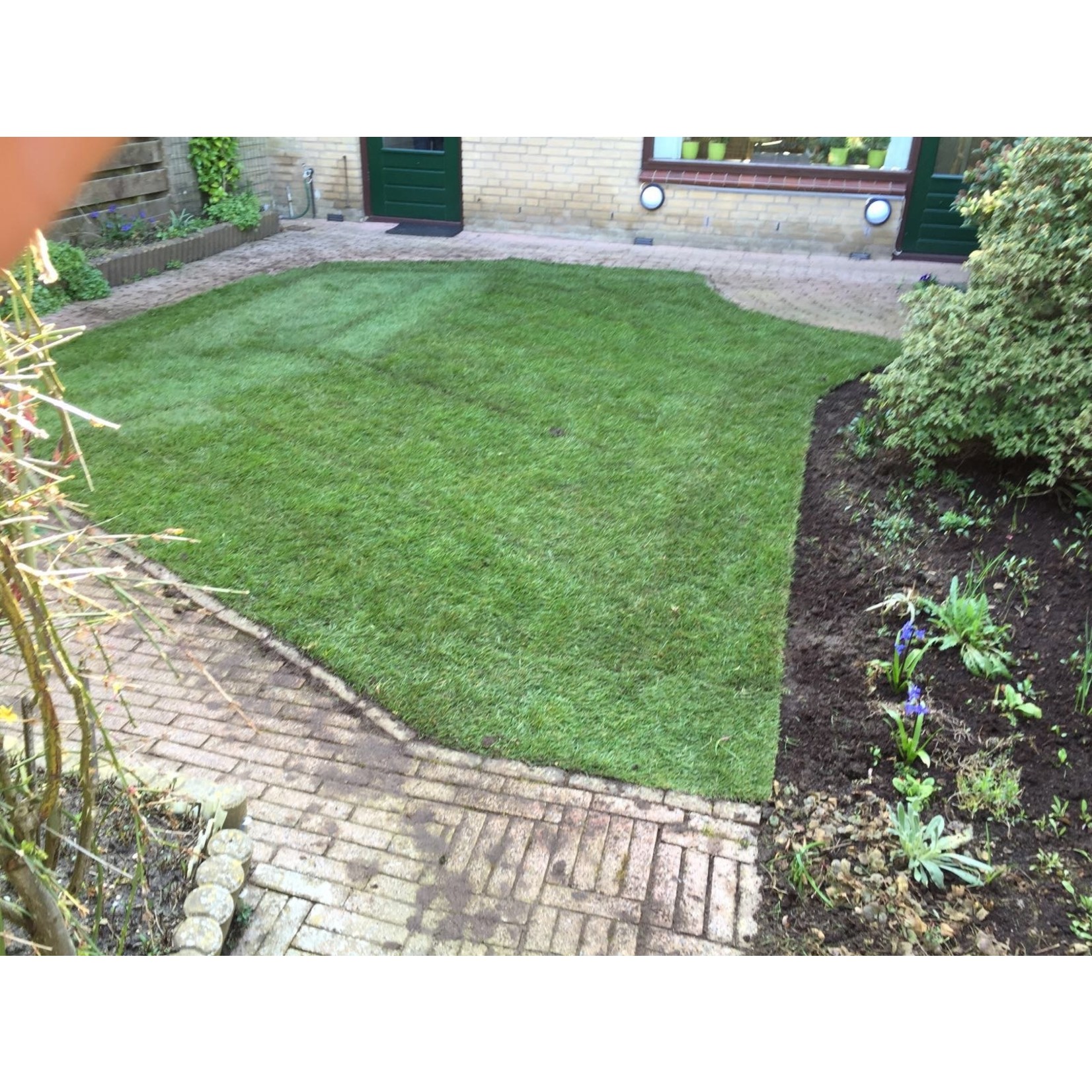 De beste graszoden van Nijmegen