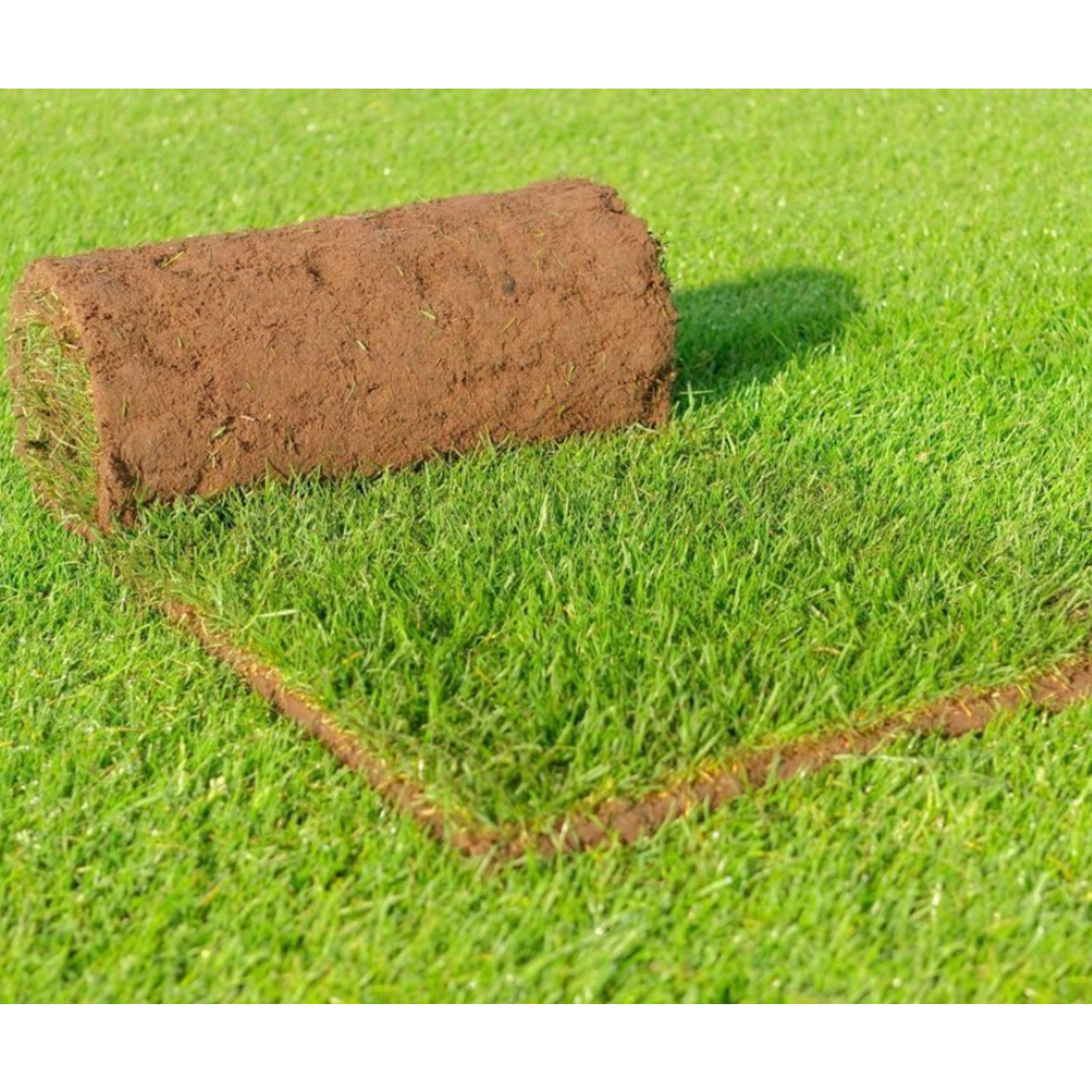 De beste graszoden van Nijmegen