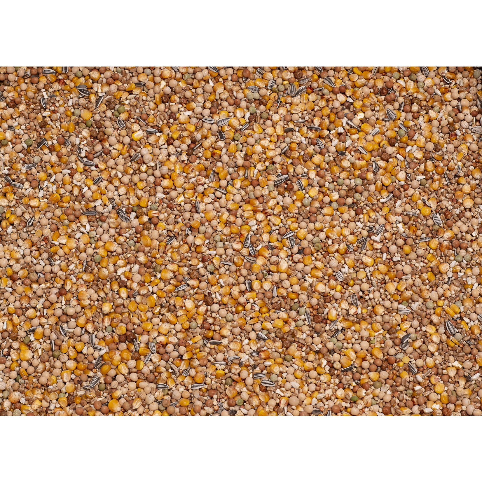 Beyers Beyers Basic 4-seizoenen 25kg